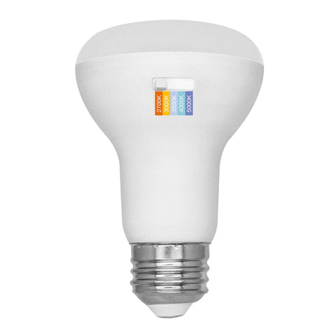 LED Light Bulbs & LED Lamps