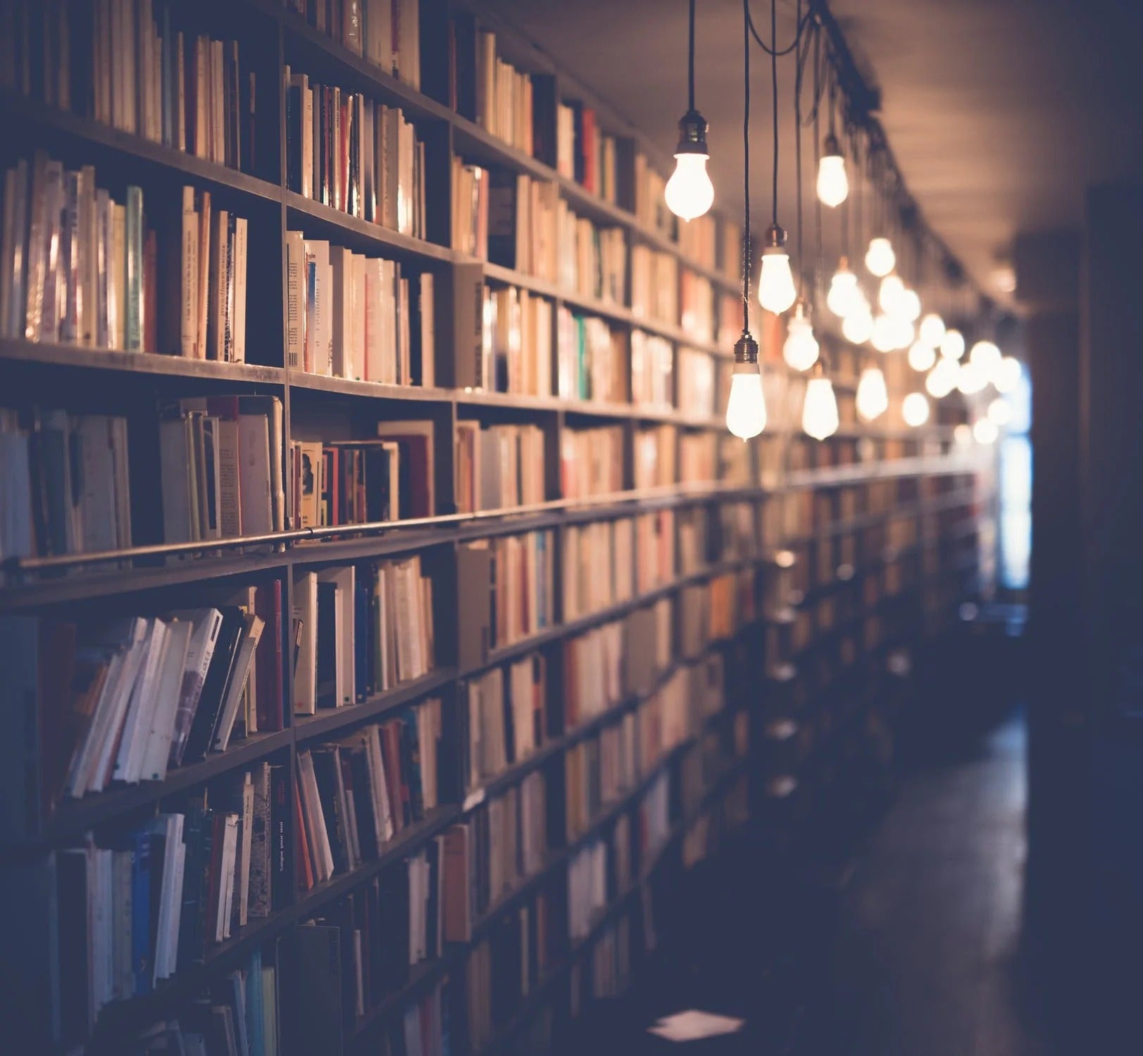 Library Lights | Order Library LED Light Fixtures & LED Lighting ...