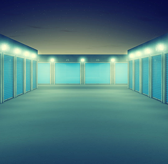 Storage Lighting | Shop Storage Room Lights & LED Storage Lights for ...