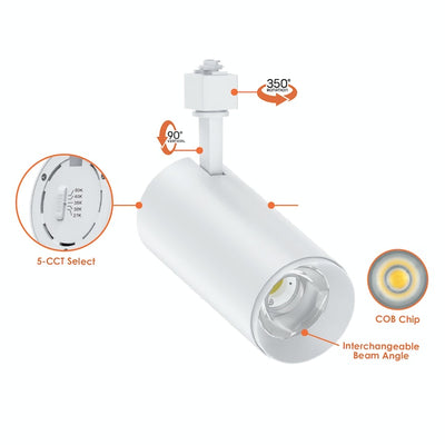 Track Heads: ACRY-Line, 30W, 3000 Lumens, CCT Selectable, 120V, Black or White Finish