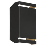Black wall-mounted light fixture with gold accents on a white background