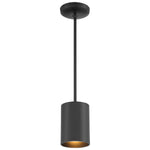 LED Pendant Cylinder Light, 60W, 120V, Matte Black, Pilson Collection