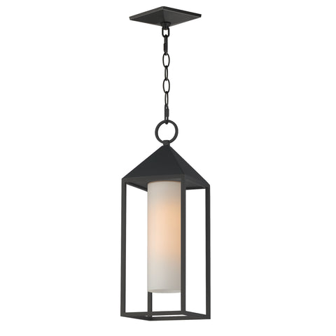 Aldous 1-Light Outdoor Pendant, Black