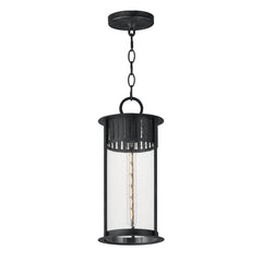 Windsor 1-Light Outdoor Pendant