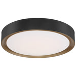 20" LED Flush Mount Ceiling Light, 2400 Lumens, 24W, 3000K, 120V, Matte Black Finish, Malaga Collection