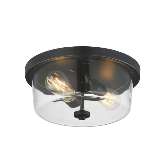 Fuller 2-Light Flush Mount Ceiling Light, 120V, Black
