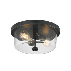 Fuller 2-Light Flush Mount Ceiling Light, 120V, Black
