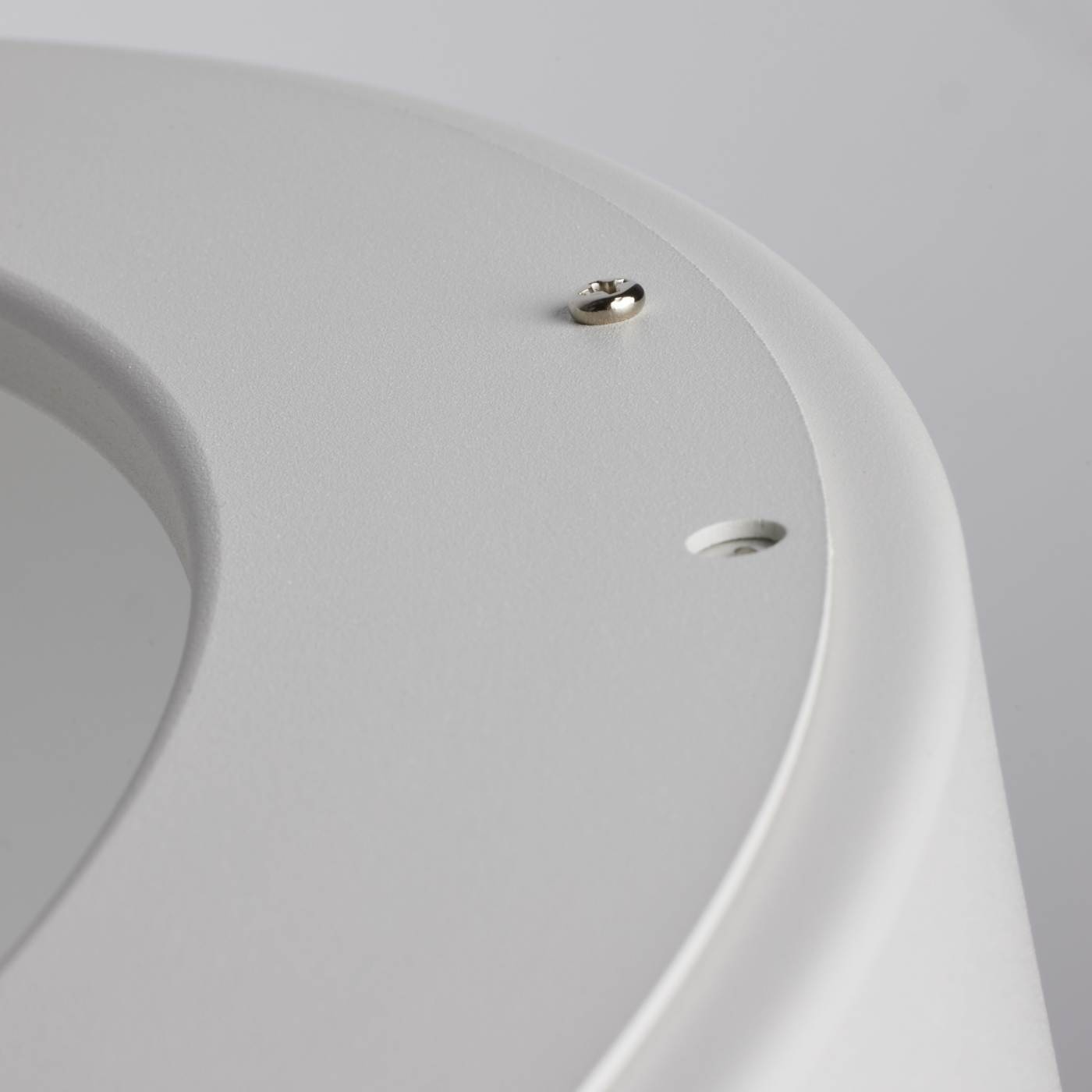 Close-up of a white ceramic plate with two small metallic objects on a light gray background