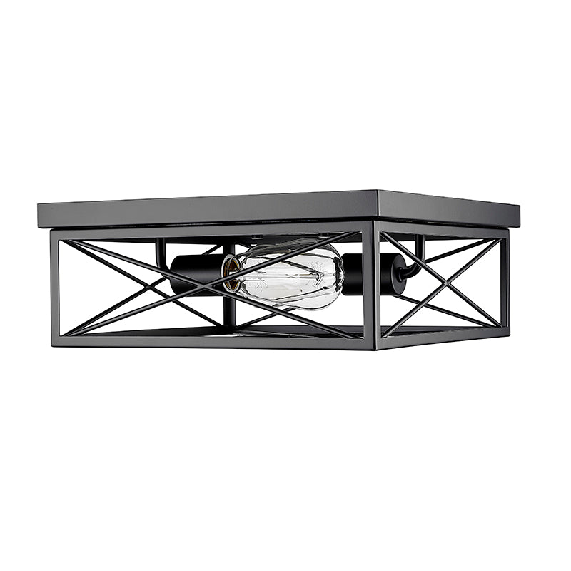 Millennium Lighting, 2 Light Flush Mount Ceiling Light, Matte Black Finish