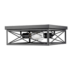 Millennium Lighting, 2 Light Flush Mount Ceiling Light, Matte Black Finish
