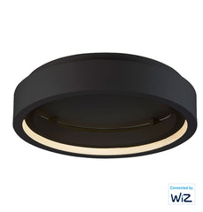 iCorona WiZ 24