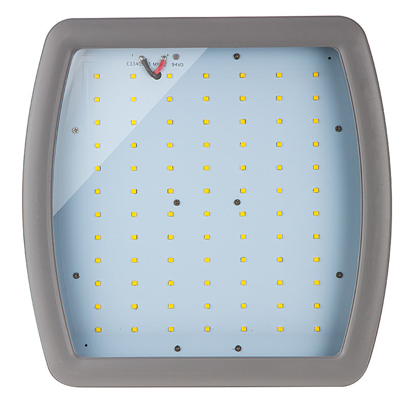 LED Explosion Proof Flood Light, Class 2 Division 1, 13,000 Lumens, 100W, 5000K, 100-277V