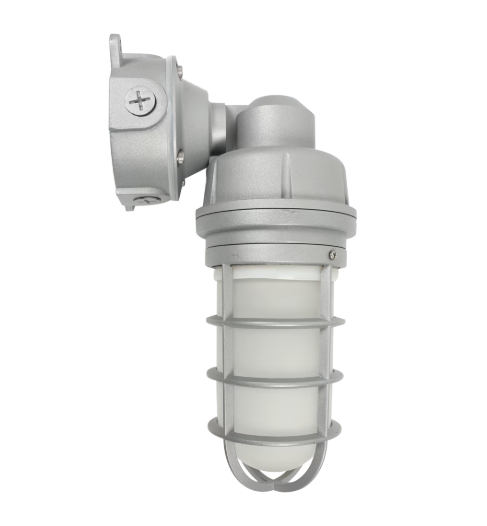 A silver industrial outdoor wall light fixture with a protective cage and adjustable mounting bracket, shown against a plain white background.