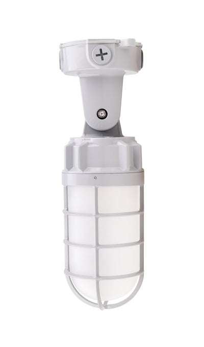 LED Vapor Tight Jelly Jar Light, 21W, 2520 Lumens, 5000K, 120-277V