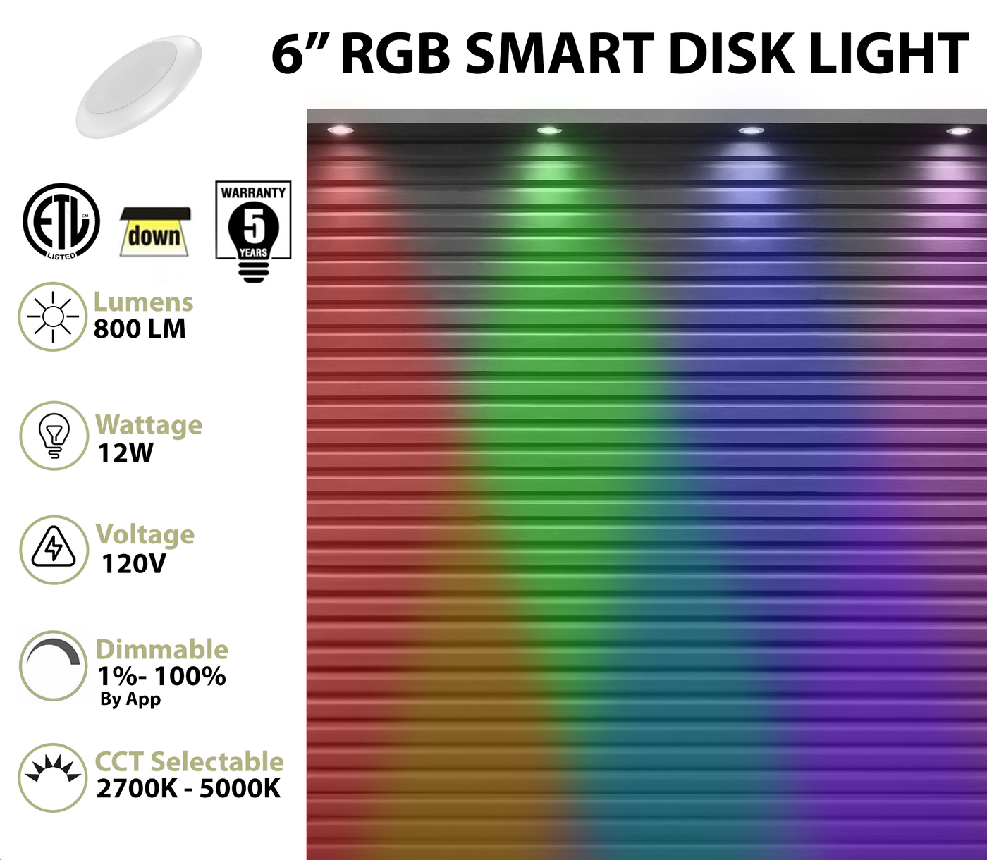 6 Inch LED RGB+W Smart Disk Light, 12W, CCT Selectable, 120V