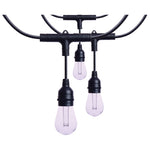 Black plastic starfish led string light with three clear glass edison-style bulbs for outdoor use 24 foot 120 volt