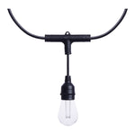 Black led string light with clear glass bulbs and black plastic fixtures starfish 24 foot 12-s14 lamps rgbtw