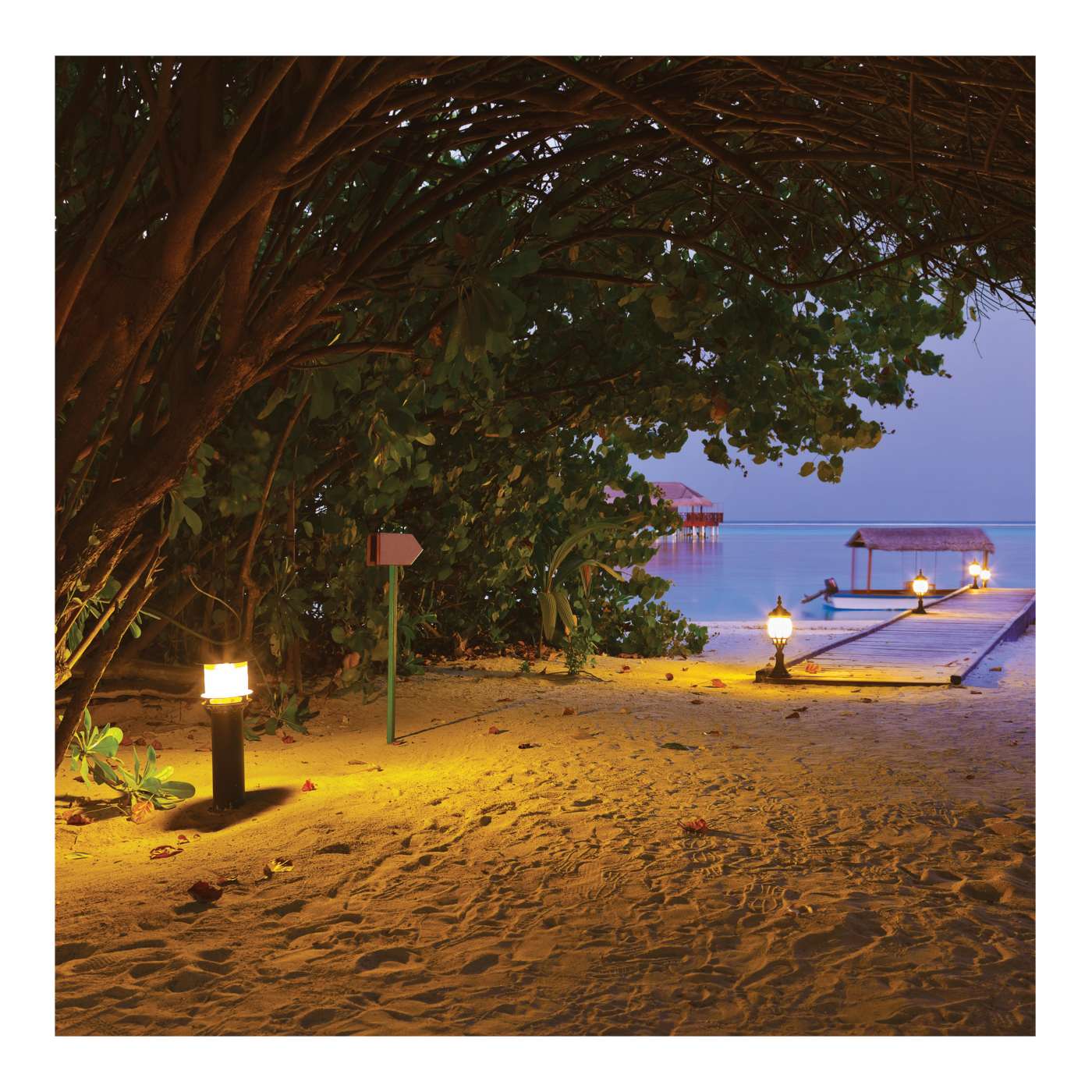 Beach scene with trees, lamps, and a dock at night.