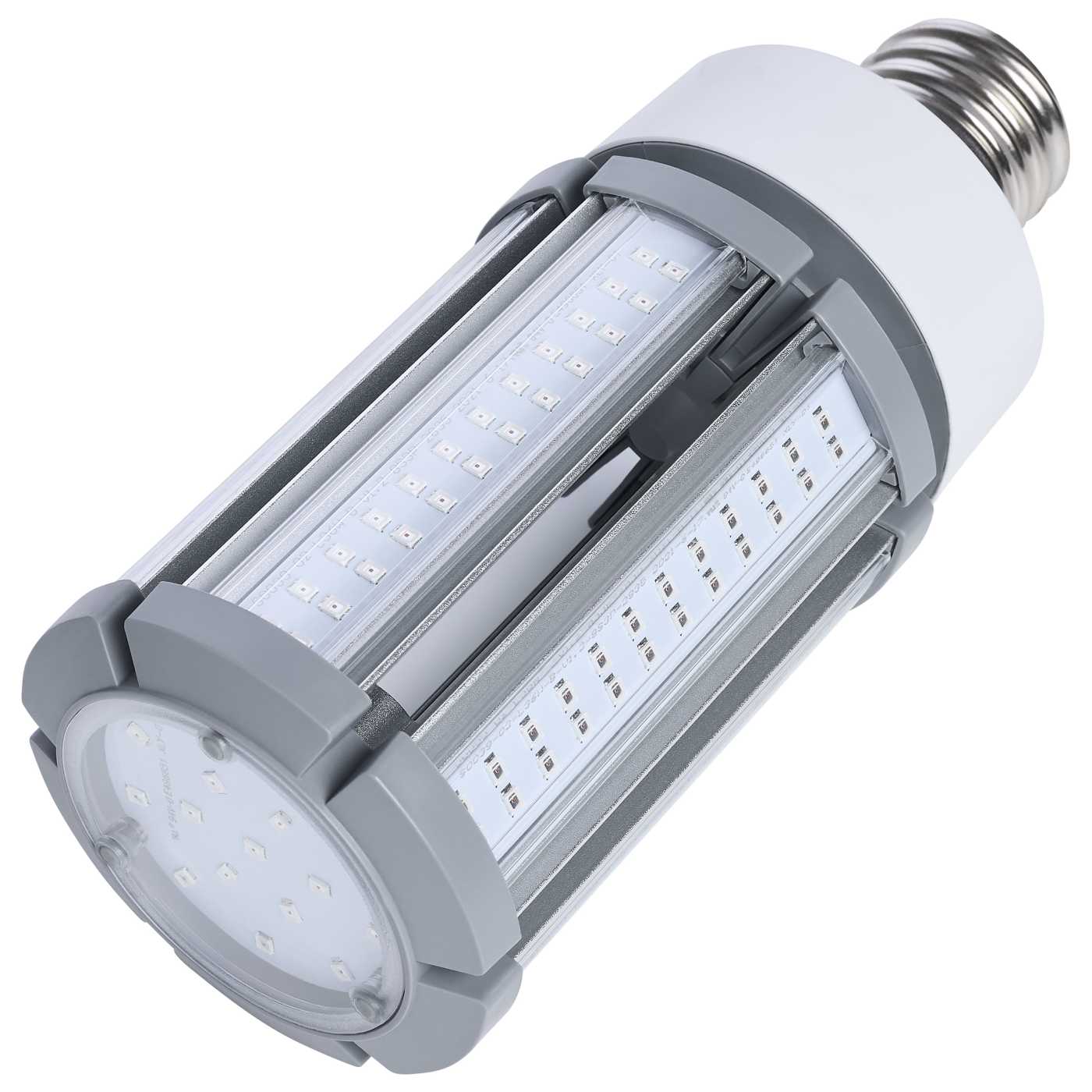 LED corn light bulb on a white background