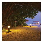 Beach scene with trees, lamps, and a dock at night.