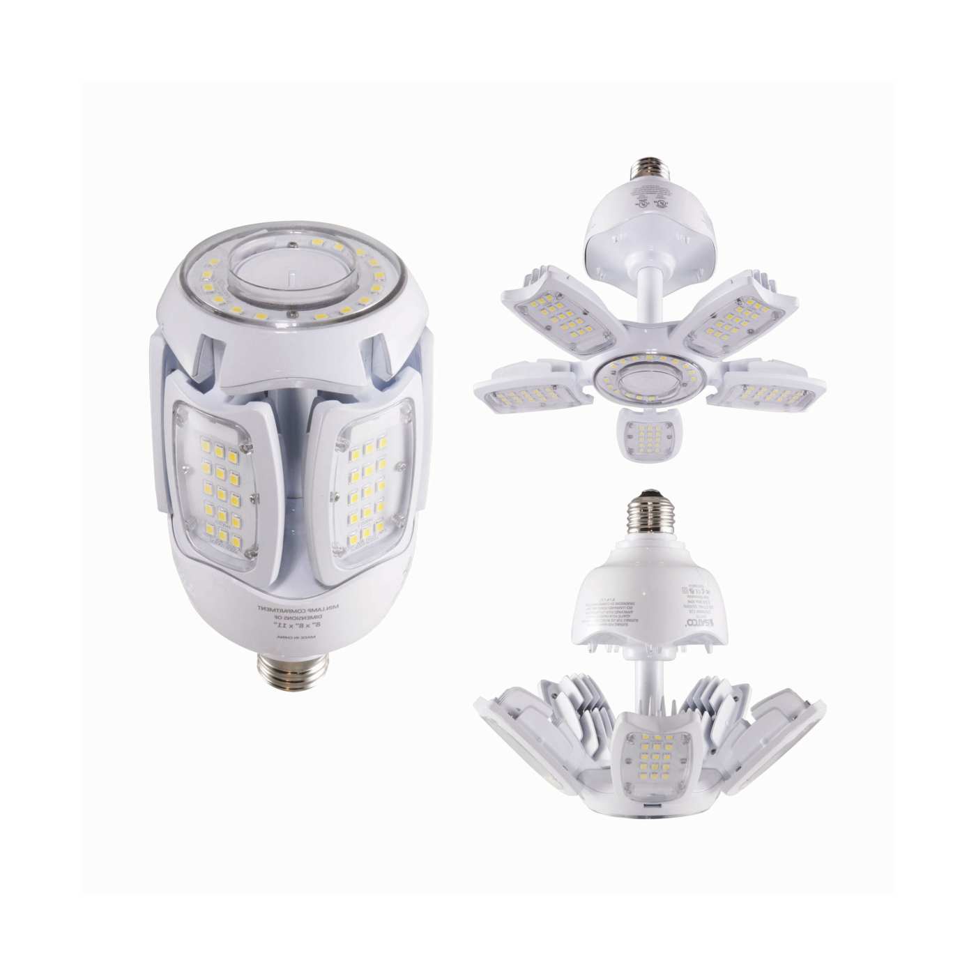 Set of LED light bulbs with different designs on a white background