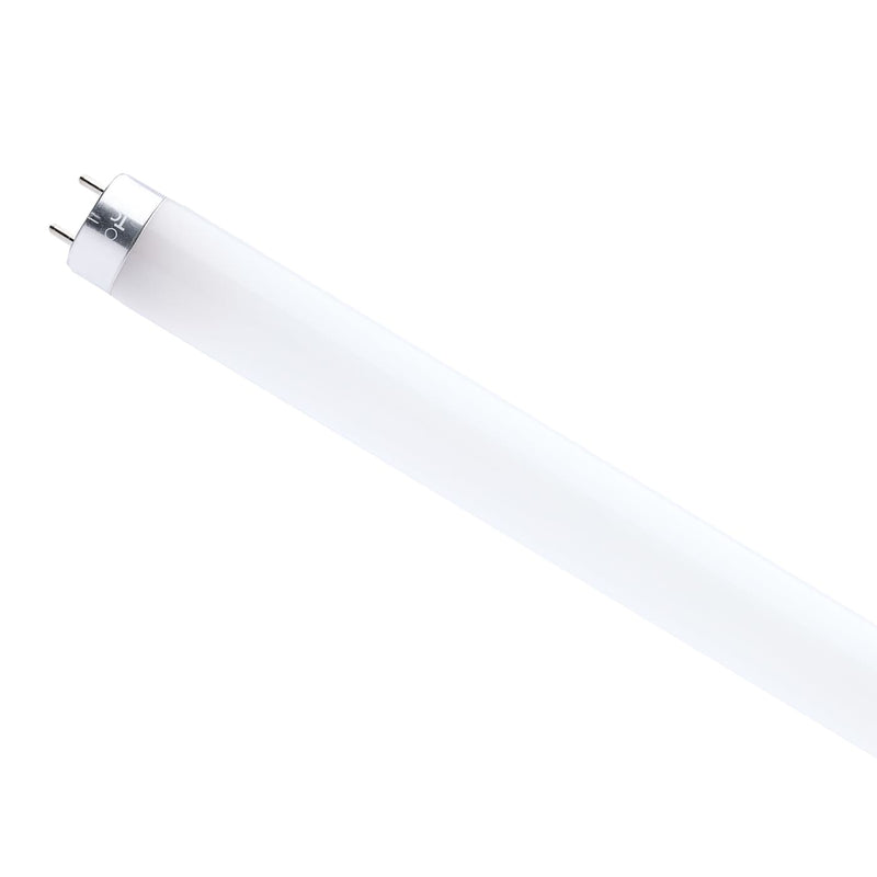 White fluorescent light bulb on a white background