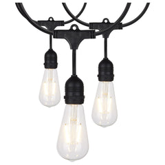 24Ft, LED String Light, 12 Vintage ST19 bulbs Included, 120 Volts