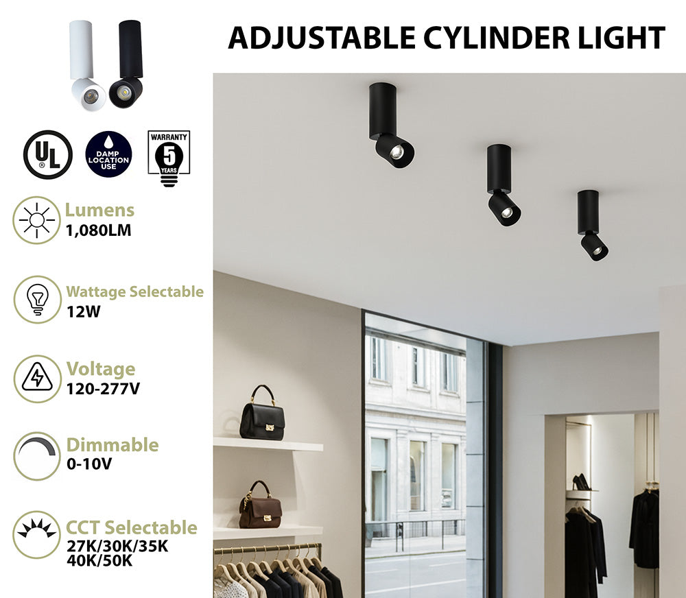 2" LED Adjustable Architectural Cylinder Light Fixture, 1080 Lumens, 12W, CCT Selectable, 120-277V, Black or White Finish