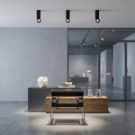 Black led adjustable architectural cylinder light fixture with focused beams 1080 lumens 12w cct selectable finish