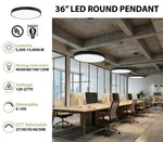 36 inch led round pendant light with sleek black frame and frosted white diffuser, selectable wattage and cct