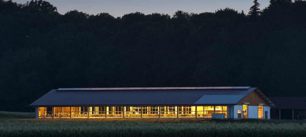Reviewing the Best Barn Lights
