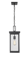 Millennium Lighting 1 Light Outdoor Hanging Lantern, Black or Bronze Finish, Barkeley Collection