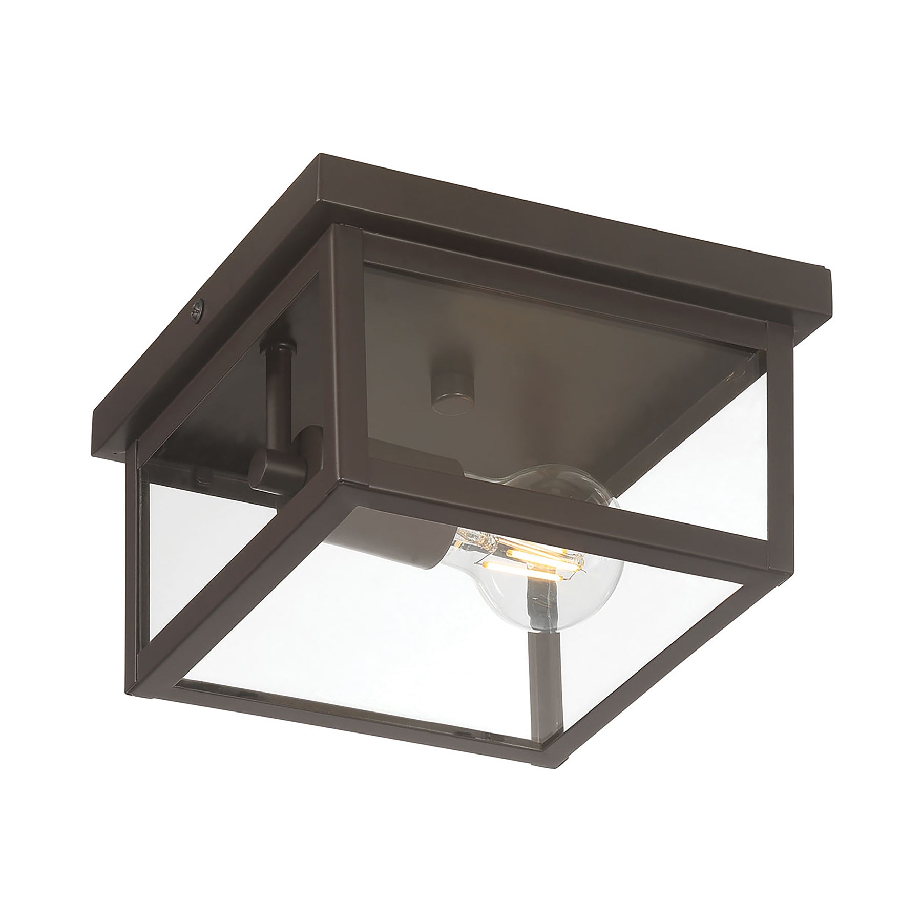 Evanton 8" Wide 1-Light Outdoor Flush Mount