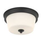 Strayhan 13" Wide 2-Light Flush Mount