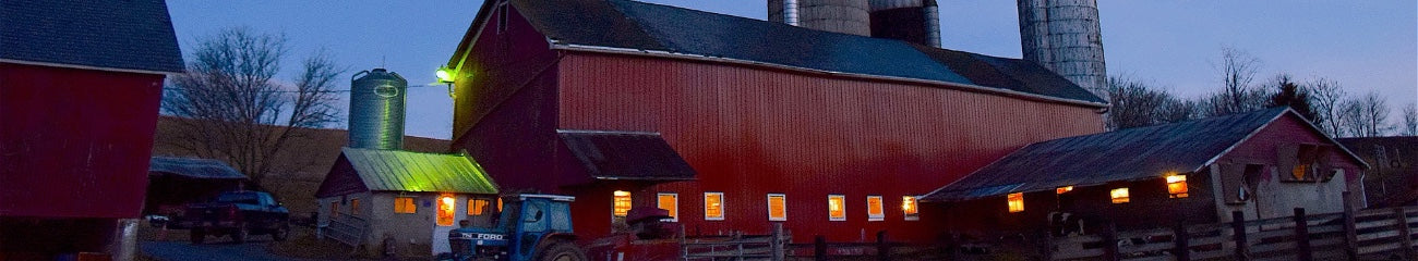 Gooseneck Outdoor LED Barn Lights