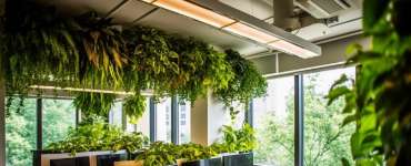 How Lighting Affects Productivity In Your Workspace