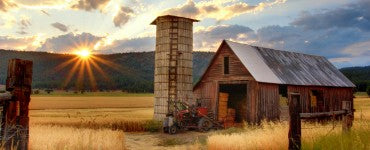 The Buyer’s Guide to Barn Lights & Gooseneck Light Fixtures