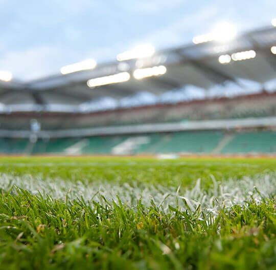 Indoor Field Lighting