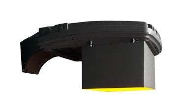 Coastal Wildlife Lighting