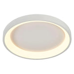 19" Flush Mount Ceiling Light, 2100 Lumens, 30W, CCT Selectable, 120V, White or Black Finish