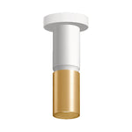 A modern cylindrical ceiling light fixture with a white upper body and a brushed gold lower shade, shown against a plain white background.