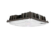 LED Canopy Light