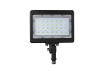 LED Flood Light