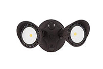 LED Security Light