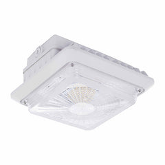 LED Canopy Light 100W, 13000 Lumens, 4000K or 5000K, 120-277V