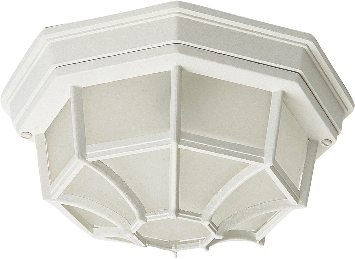 Crown Hill 2-Light Outdoor Ceiling Mount