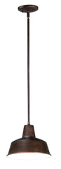 Pier M 1-Light Outdoor Pendant