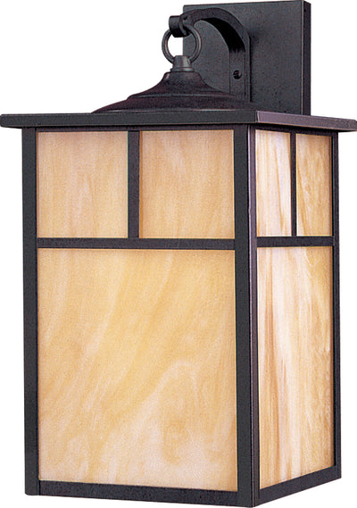 Coldwater 1-Light Outdoor Wall Lantern