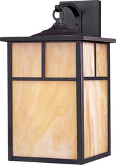Coldwater 1-Light Outdoor Wall Lantern