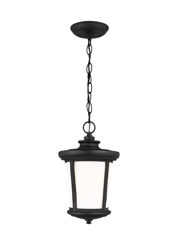 Eddington Collection - One Light Outdoor Pendant | Finish: Black - 6219301EN3-12